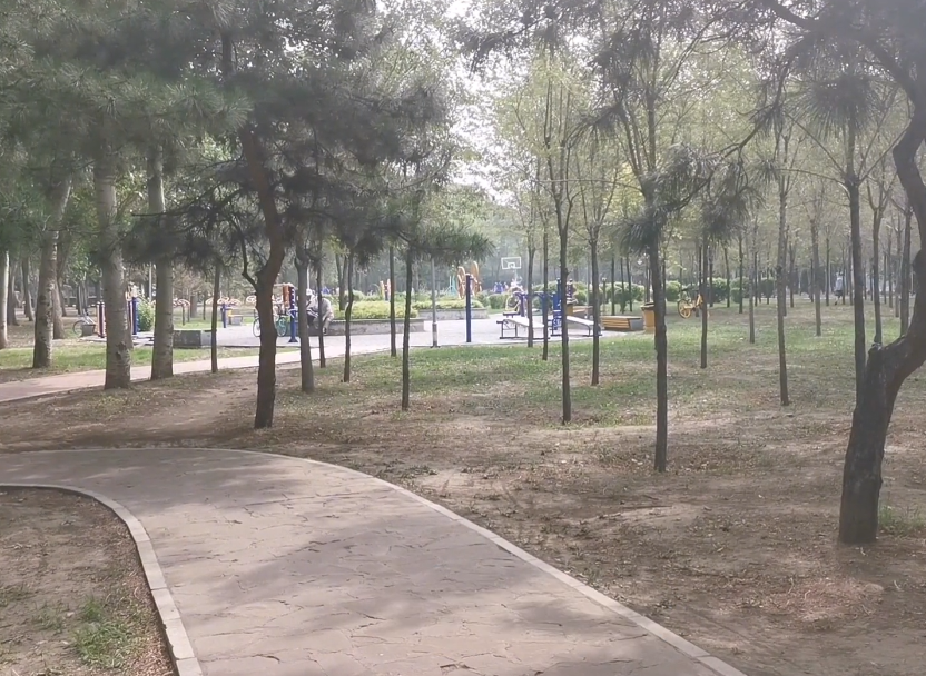 沈阳怒江东公园游玩攻略1