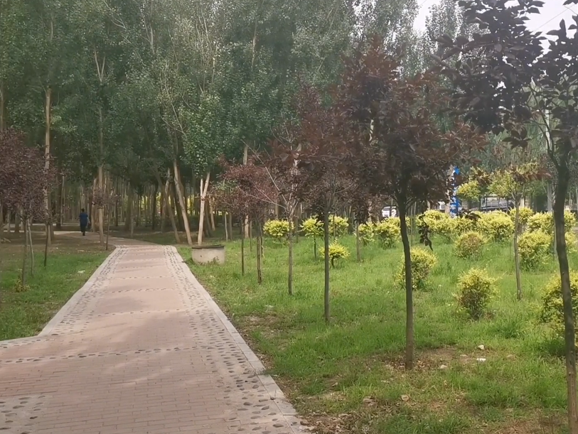 沈阳怒江东公园游玩攻略2