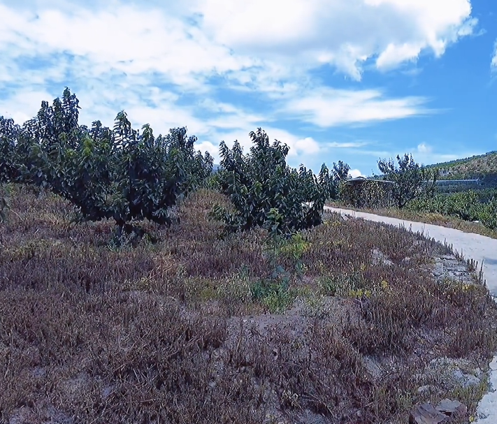 大连晓彤生态园游玩攻略2