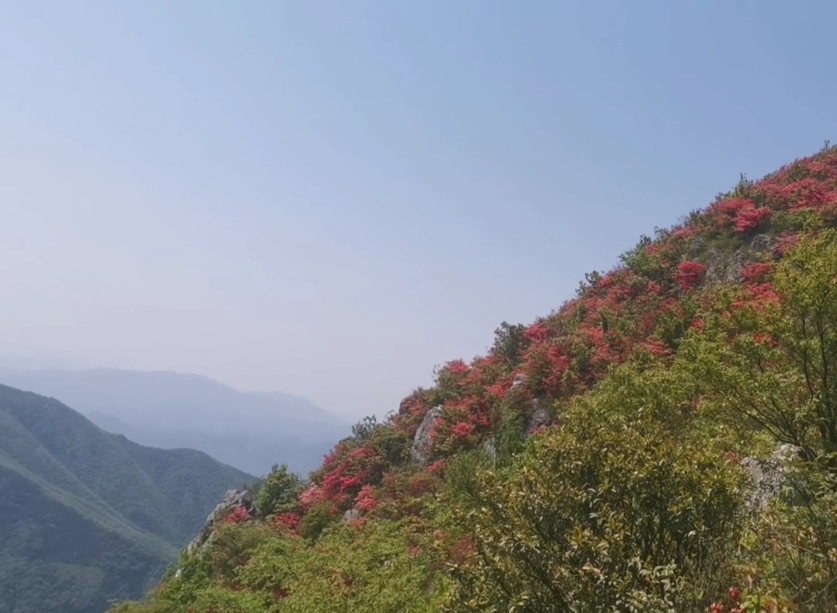 营口黄丫口高山杜鹃游玩攻略1