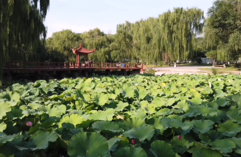 锦州北湖公园游玩攻略1