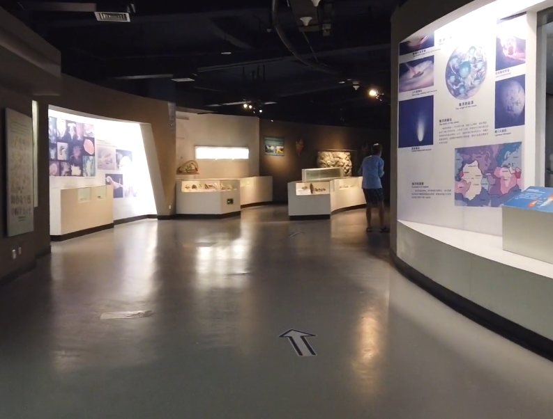 大连贝壳博物馆游玩攻略2