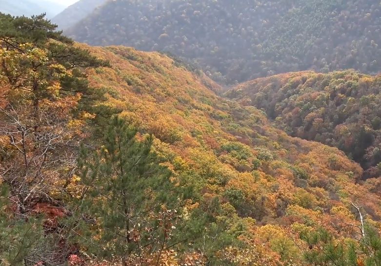 本溪枫林谷森林公园游玩攻略2