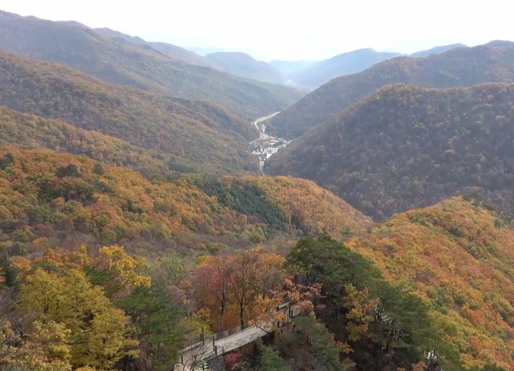 本溪枫林谷森林公园游玩攻略3