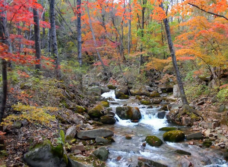 本溪枫林谷森林公园游玩攻略4