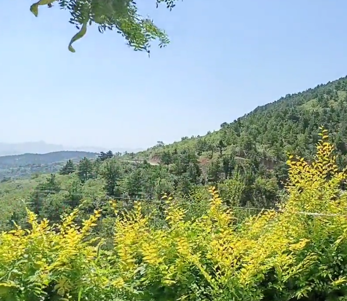 朝阳金花山风景区游玩攻略2