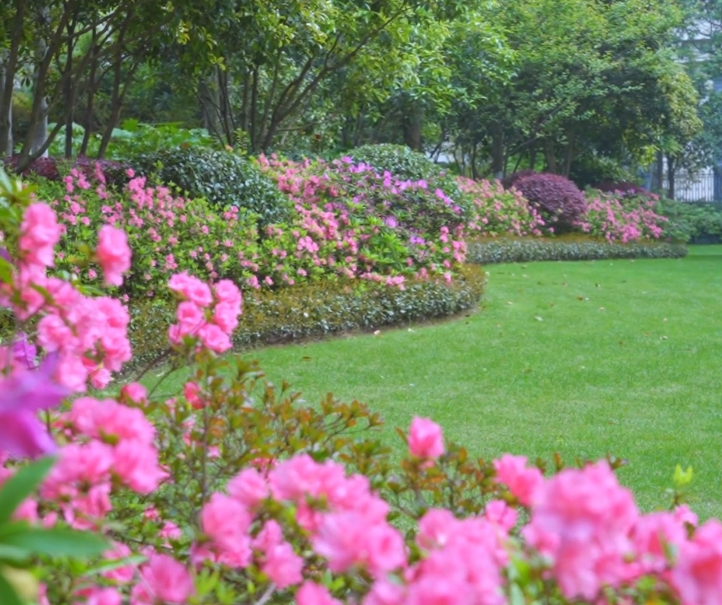 沈阳黎明公园游玩攻略3