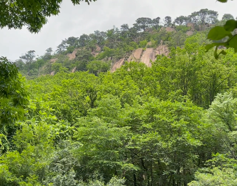 抚顺猴石国家森林公园游玩攻略3