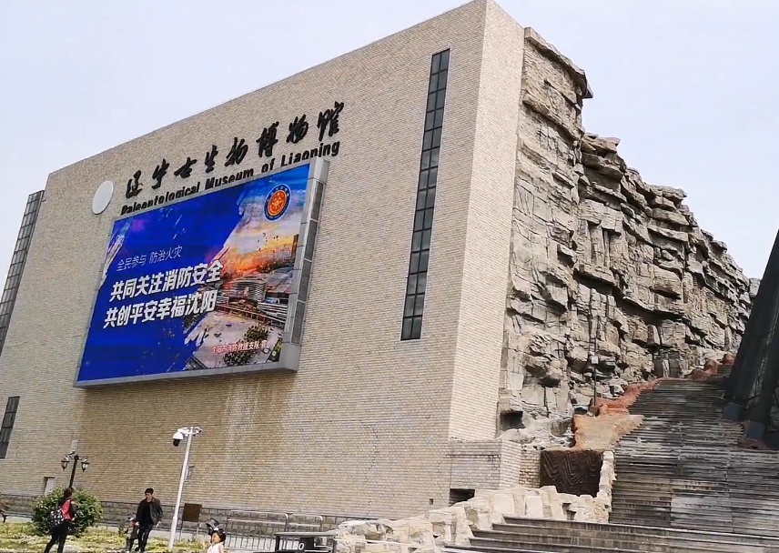沈阳辽宁古生物博物馆游玩攻略1
