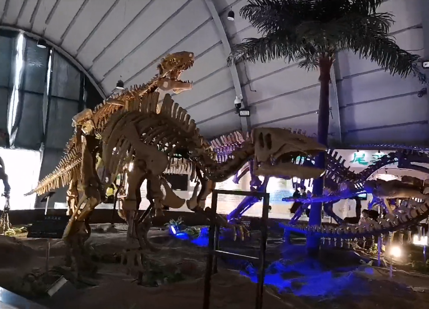 沈阳辽宁古生物博物馆游玩攻略2