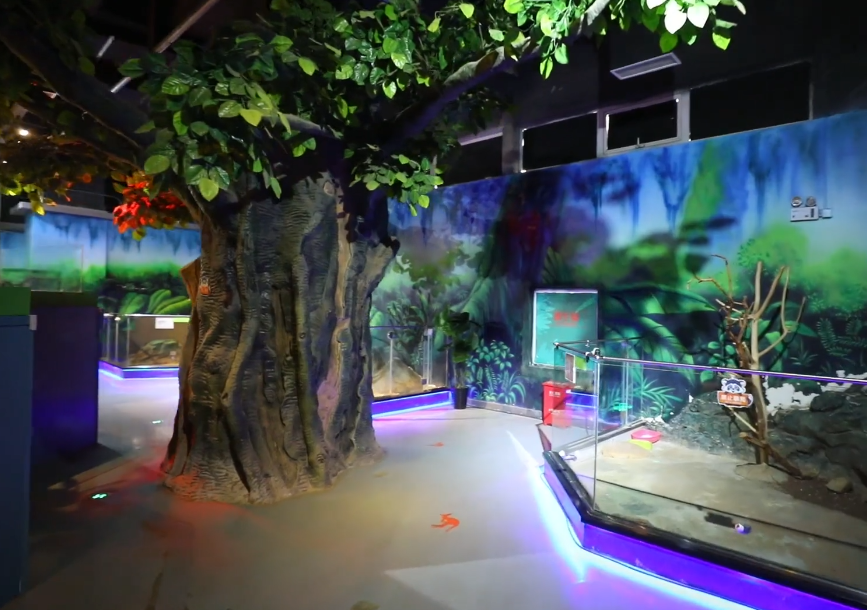 沈阳未来动物城游玩攻略1