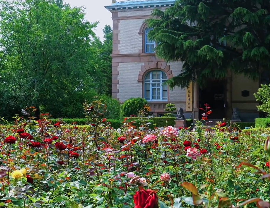 大连文博玫瑰园游玩攻略1