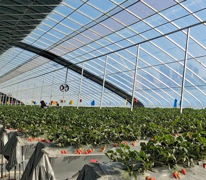 大连荣聚生态园游玩攻略1