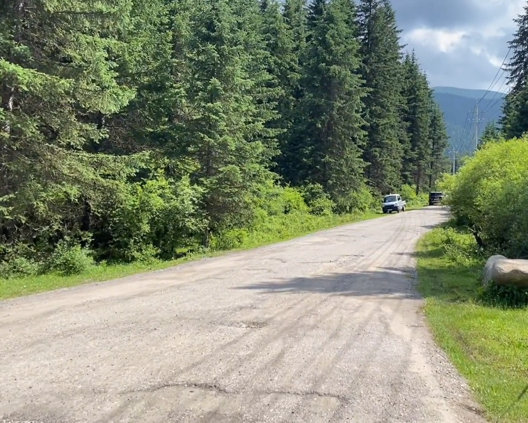 大连龙门汤森林公园游玩攻略2