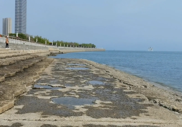 大连金州滨海公园游玩攻略1