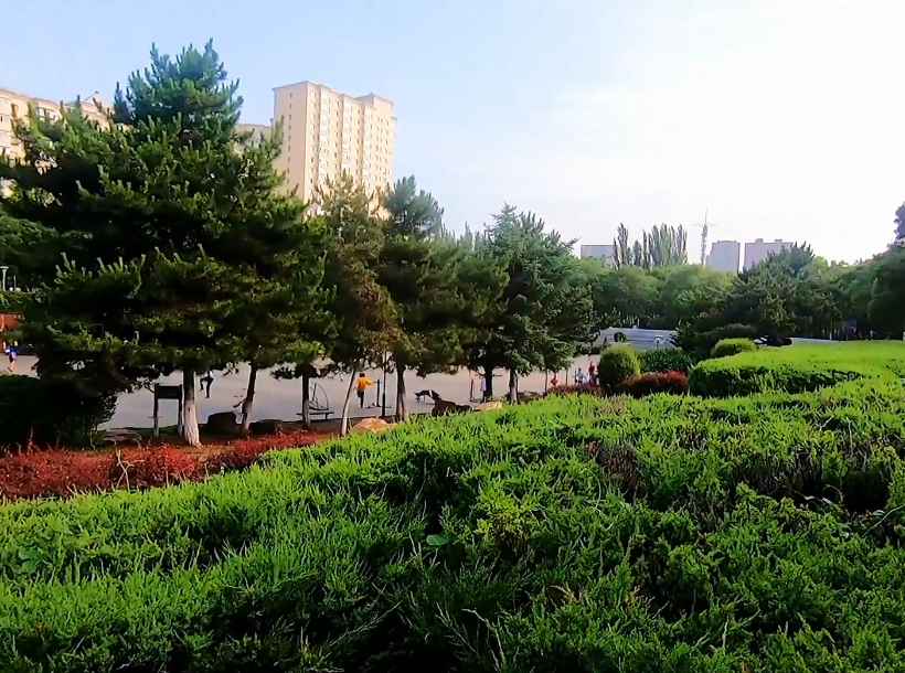 沈阳克俭公园游玩攻略1