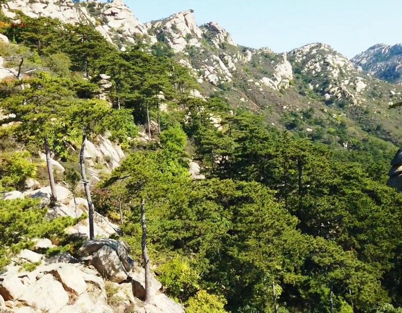 锦州闾山国家森林公园游玩攻略1