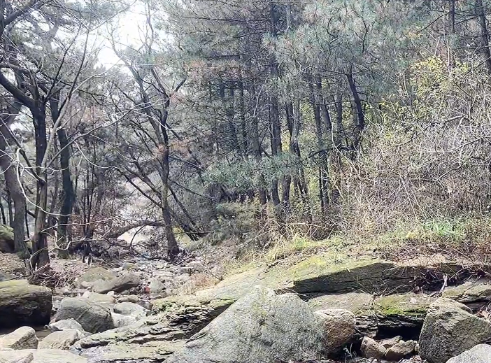 锦州闾山国家森林公园游玩攻略2