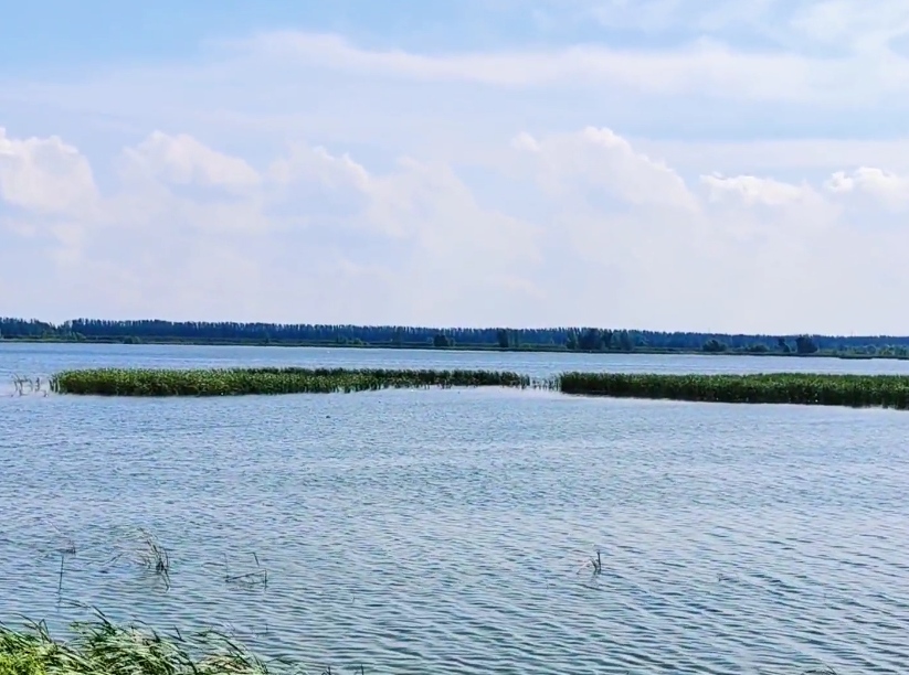 锦州新立国家湿地公园游玩攻略1