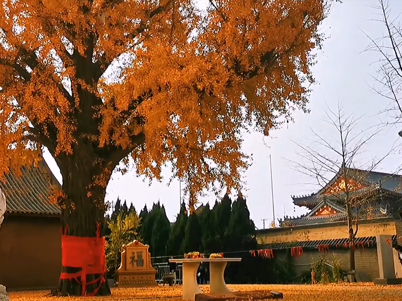 大连营城子民俗文化村游玩攻略1