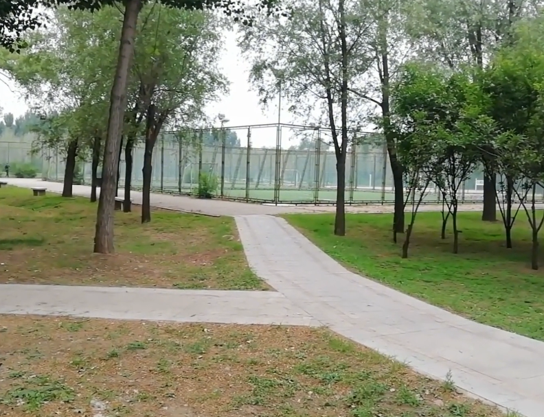 沈阳沈河体育公园游玩攻略1