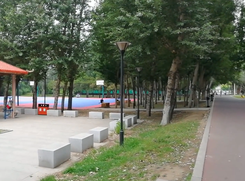 沈阳沈河体育公园游玩攻略3