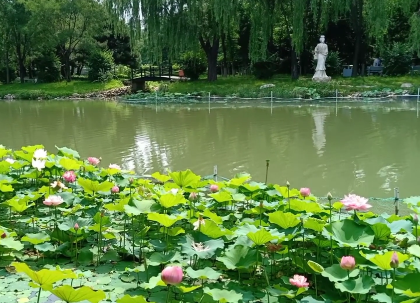 营口熊岳植物园游玩攻略1