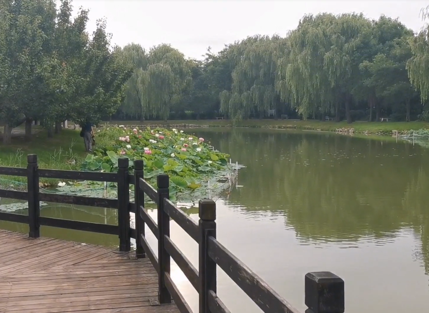 营口熊岳植物园游玩攻略3