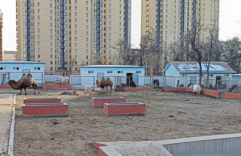 锦州锦州动物园游玩攻略1