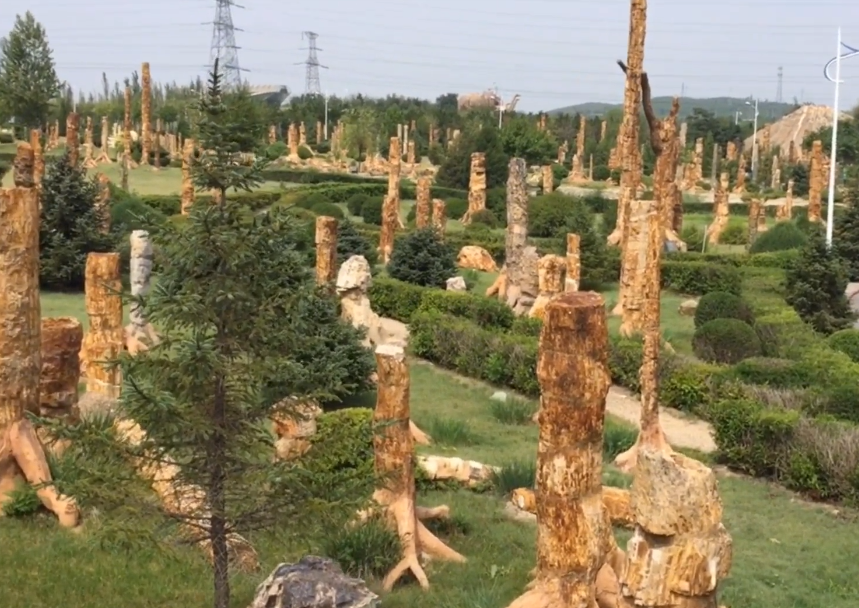 朝阳鸟化石国家地质公园游玩攻略2