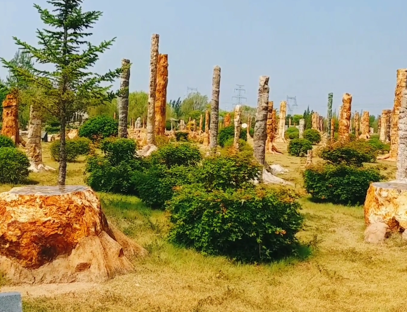 朝阳鸟化石国家地质公园游玩攻略3