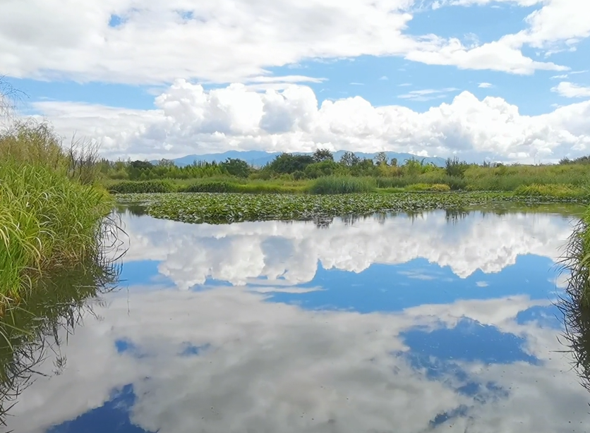 朝阳敖木伦湿地公园游玩攻略1
