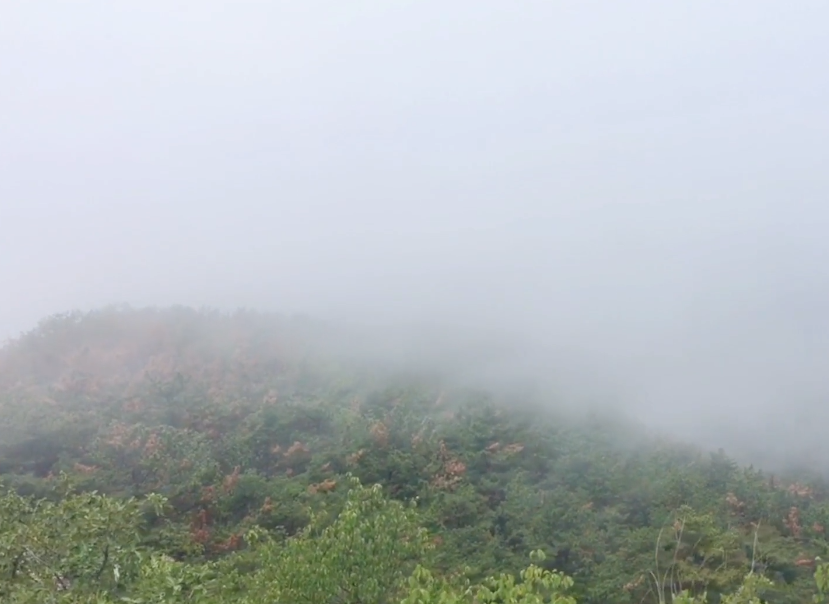 大连秀月峰风景区游玩攻略1