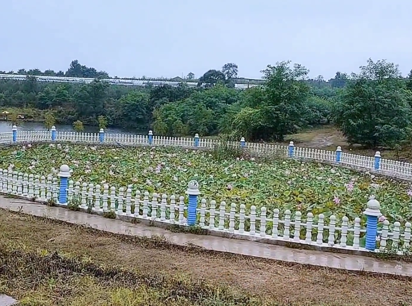 大连南渤湾小镇游玩攻略1