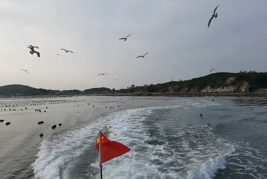 大连格仙岛游玩攻略2