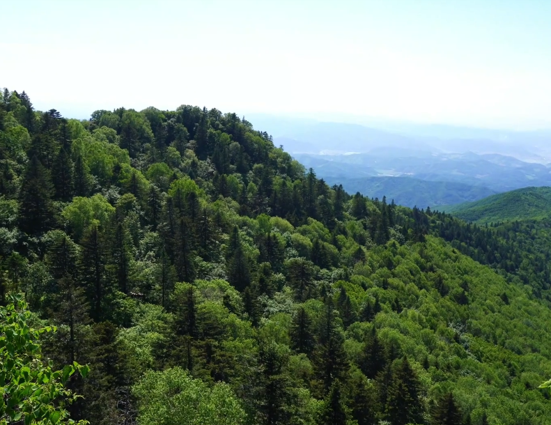 抚顺岗山国家森林公园游玩攻略1