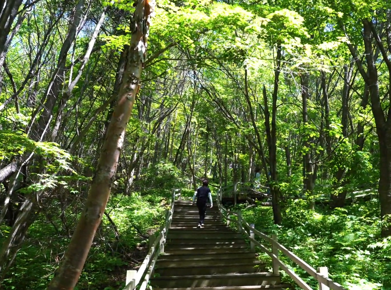 抚顺岗山国家森林公园游玩攻略2