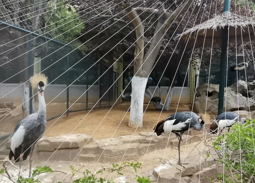 大连大连森林动物园游玩攻略1