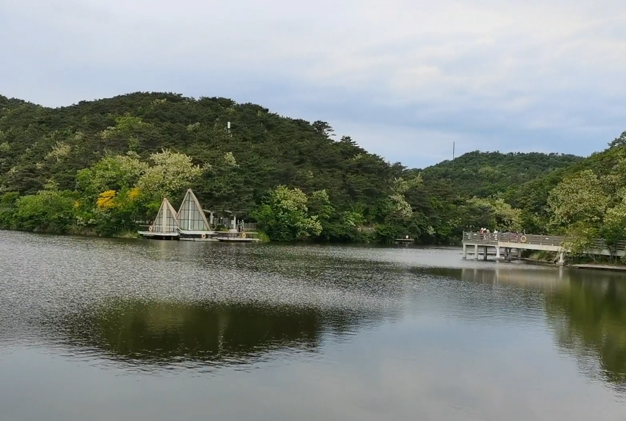 大连大连森林动物园游玩攻略2