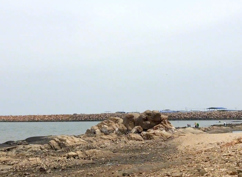 营口龟石滩风景区游玩攻略3