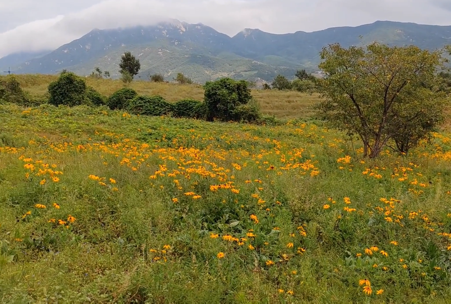 大连天一庄园游玩攻略2