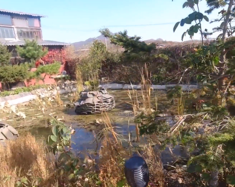 大连灵秀农家院游玩攻略2