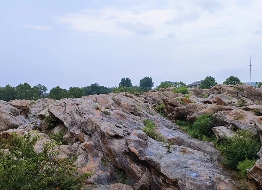 大连金石园游玩攻略2