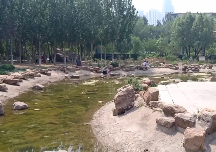 沈阳碧塘公园游玩攻略1