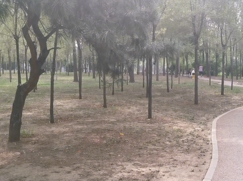 沈阳于洪怒江公园游玩攻略1