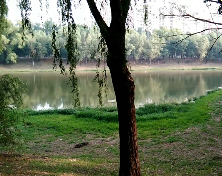 沈阳于洪怒江公园游玩攻略2