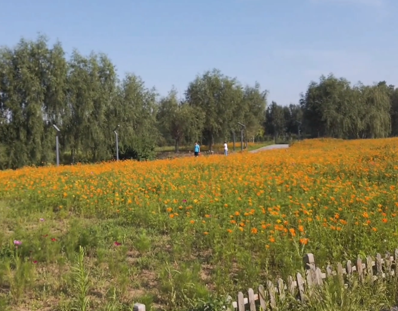 沈阳长青湾公园游玩攻略1