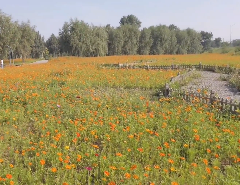 沈阳长青湾公园游玩攻略2