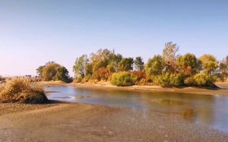 沈阳仙女岛湿地公园游玩攻略1