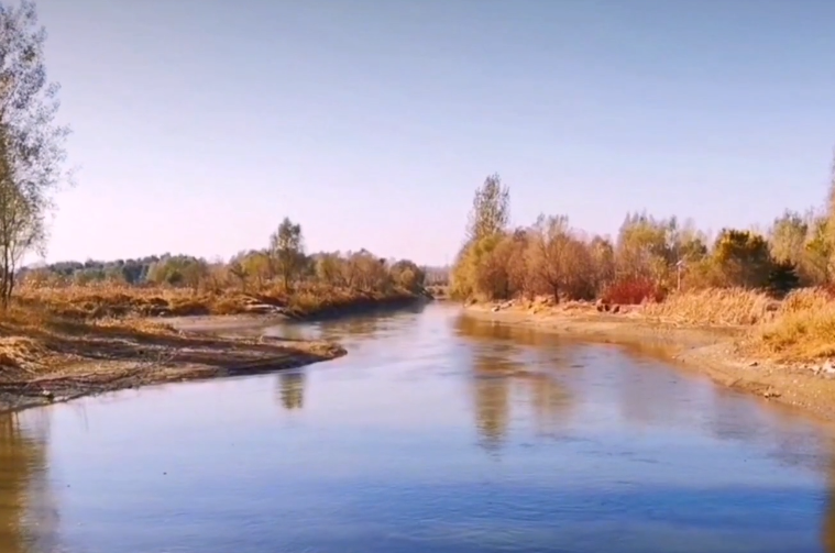 沈阳仙女岛湿地公园游玩攻略2